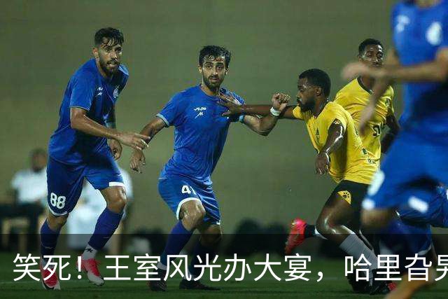 笑死！王室风光办大宴，哈里旮旯里哭唧唧控诉他国王爹和他王储哥